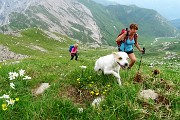 PIZZO ARERA (2512 m) ad anello, salito dalla cresta est e sceso dalla sud il 26 giugno 2018 - FOTOGALLERY